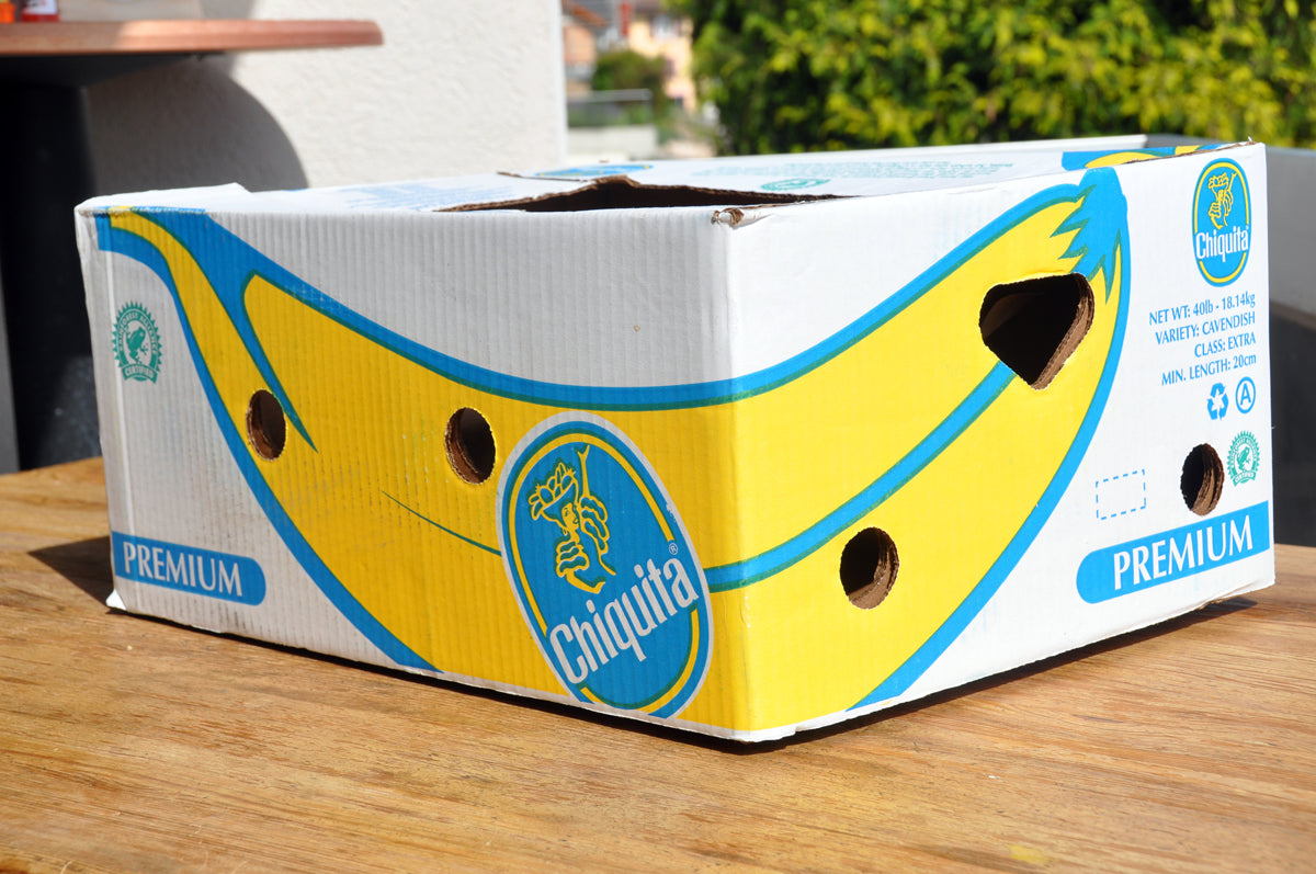 Banana 18kg Box The Fruit And Veg Man 4805